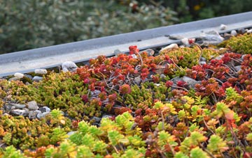 the cost of Catley Southfield green roof installation