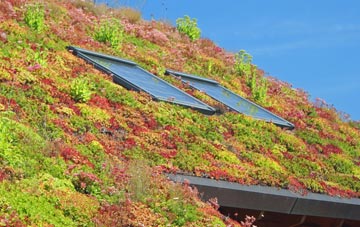 Catley Southfield living roof systems